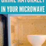 Microwave Cleaning Tips | How to Clean the Microwave | Microwave Cleaning Methods | Baking Soda Microwave Cleaning | Lemon Juice Microwave Cleaning | Vinegar for Cleaning the Kitchen | Kitchen Cleaning Tips | #microwave #kitchencleaning #kitchenhacks #cleaningtips #cleaningdiy