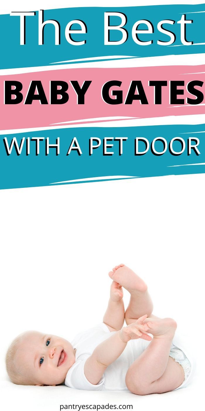 Find the best baby gate with a pet door for your home!