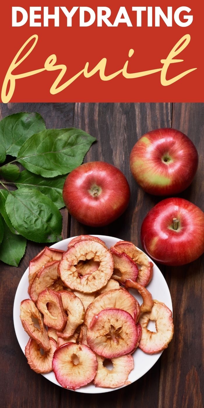 Best Dehydrator for Fruit Pantry Escapades