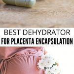 What Do You Use for Placenta Encapsulation? | How do You Dehydrate Placenta? | What Should You Do With Placenta? | Can You Consume Placenta? | #placenta #dehydration #pregnancy #appliances