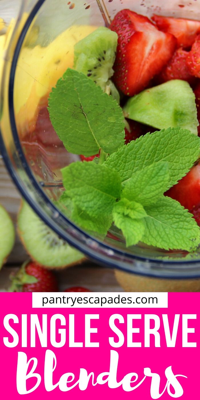 Best Single Serve Blender Reviews Pantry Escapades