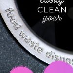 How to Best Clean a Garbage Disposal | Easiest Way to Clean a Garbage Disposal | How to Safely Clean a Garbage Disposal | How Often Should You Clean a Garbage Disposal? | #garbagedisposal #cleaning #insinkerator #appliances #diy